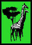 Giraffes.wmf (9966 bytes)