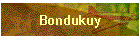 Bondukuy