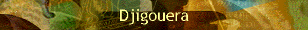 Djigouera