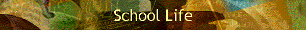 School Life