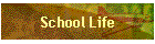 School Life
