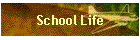 School Life
