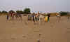 camel market2.JPG (183340 bytes)
